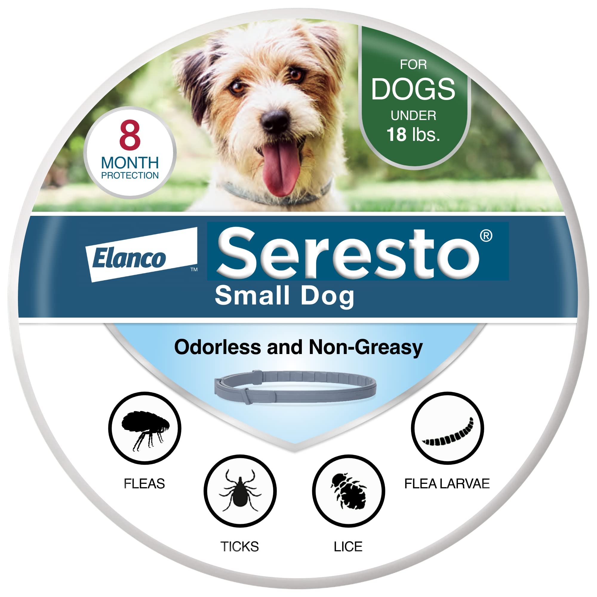 Photo 1 of Seresto Small Dog Vet-Recommended Flea & Tick Treatment & Prevention Collar for Dogs Under 18 lbs. | 8 Months Protection