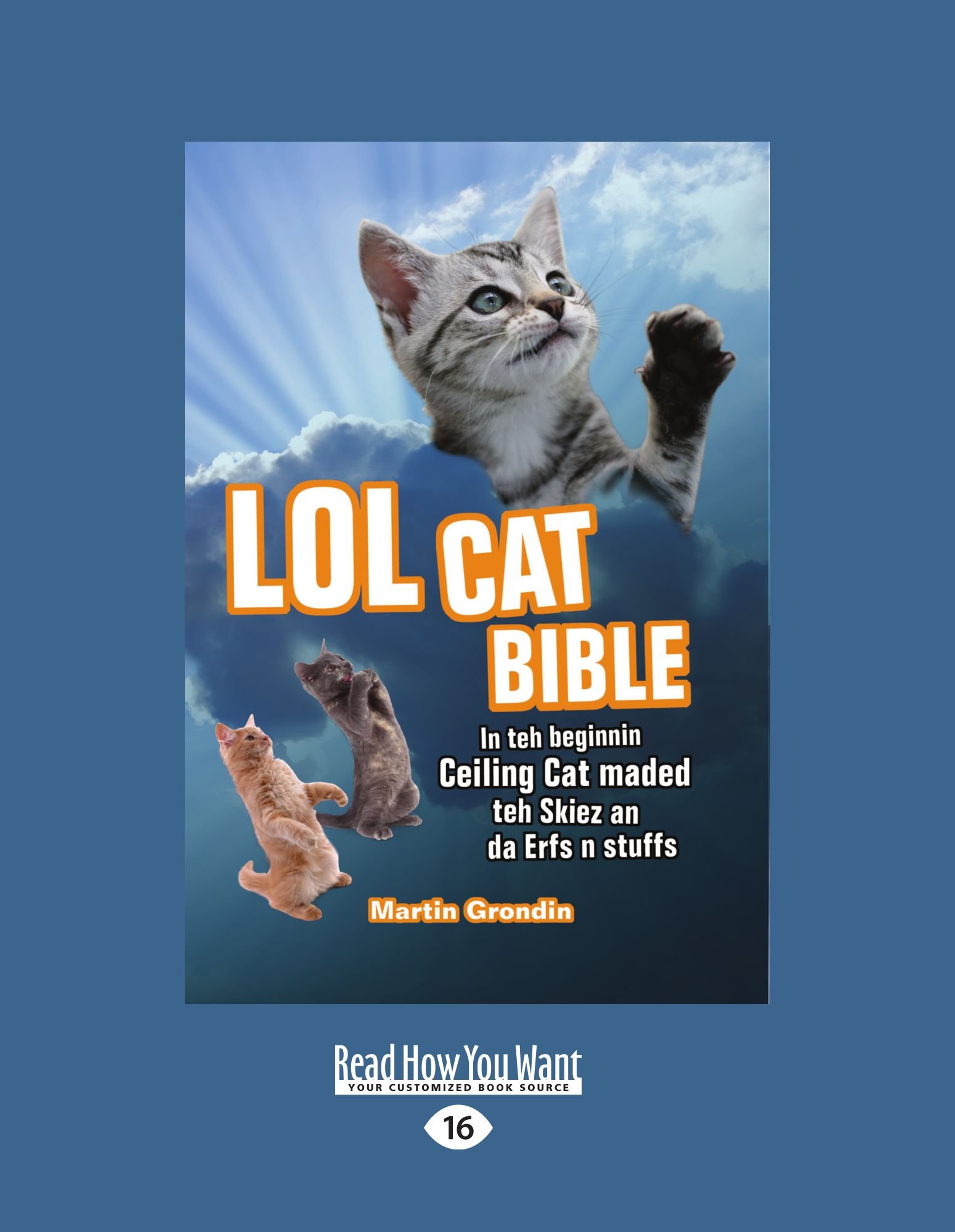 Lol Cat Bible In Teh Beginnin Ceiling Cat Maded Teh Skiez An Da
