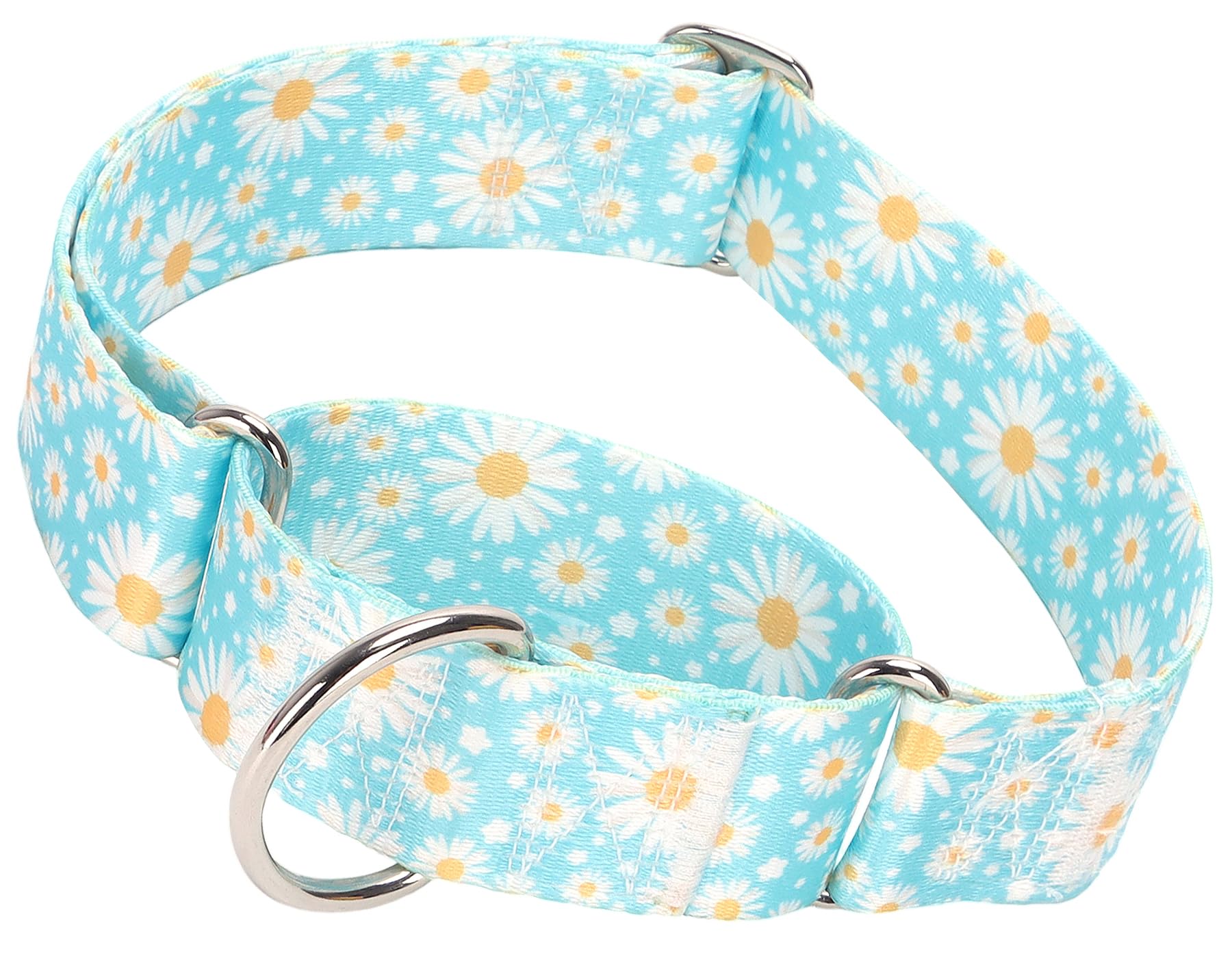 Photo 1 of 1.5 Inches Wide Martingale Dog Collar, Heavy Duty Adjustable Collar with Rwith Blue Daisy Floral Design, Military Grade Strong Dog Collar for Large/X-Large Breeds (M)