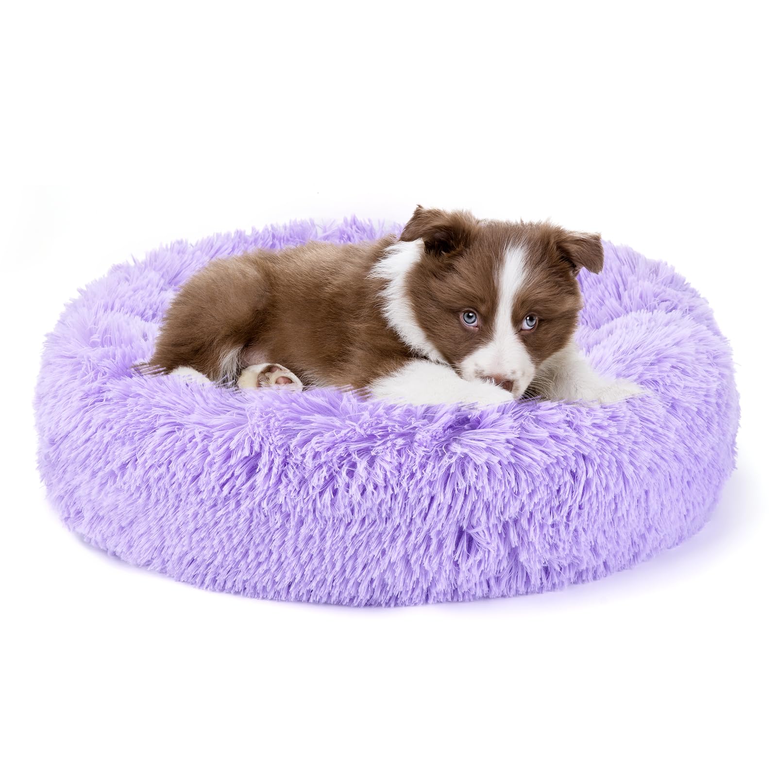 Belababy Donut Dog Cat Bed, Calming Doughnut Fluffy Dog Cat Bed Small Medium Large Washable with Soft Plush, Anti Anxiety Round Dog Puppy Bed with Anti-Slip Bottom (XS, Purple) — image 1