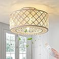 Oiotwo 18 Inch Caged Ceiling Fans with Lights, Low Profile Ceiling Fan and Remote Fandelier Crystal Fan Light for Bedroom Living Room Dining Room Kitchen Indoor, Including Bulb (Rustic White)