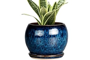 SQOWL 6 Inch Plant Pot - Ceramic Planter Pot with Drainage Hole and Saucer Succulent Pot Round Flower Pot for Indoor Plants O
