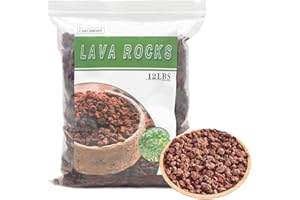 CARURBODY Red Lava Rocks for Plants -100% Pure Volcanic Rock No Dyes or Chemicals-Best Lava Stones Top Dressing for Cacti Succulents Plants,Bonsai-12LBS