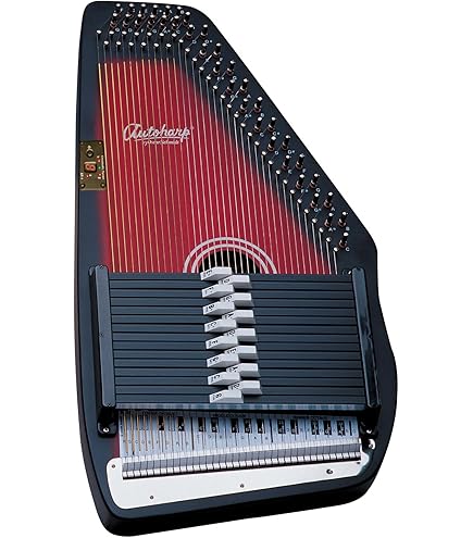 Amazon.com: Autoharp by Oscar Schmidt OS73CE 1930's Reissue 21