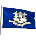 Amazon.com : XIFAN Double Sided Connecticut State Flag 3x5 ft
