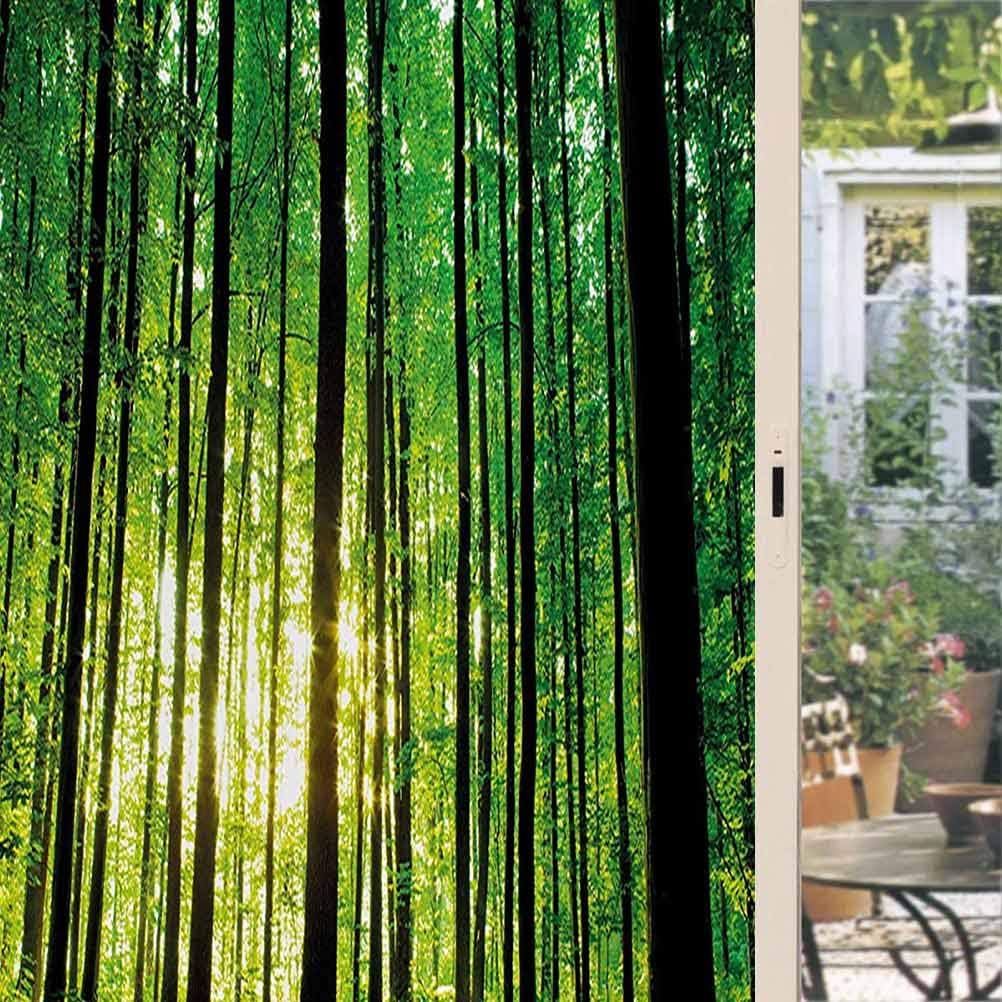 Forest Privacy Window Film Green Woodland at Sunrise Scenic Morning
