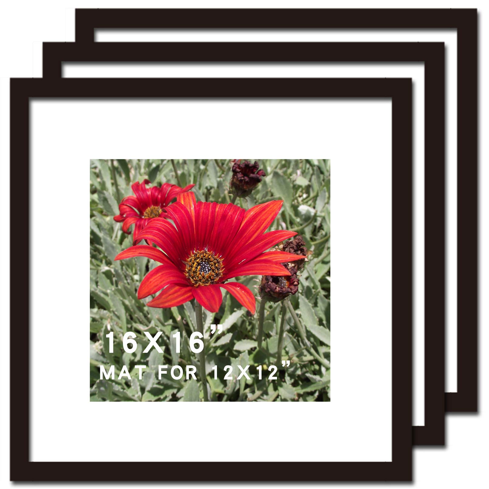 Photo 1 of SKAOTUS 16x16 Picture Frame Black 3 Pack Solid Wood for Mat 12x12 Wall Mounting Square Poster Photo Frames