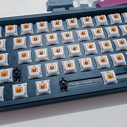 GAZZEW U4T U4Tx RGB Switch, Thocky Tactile 65g 5Pin
