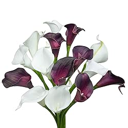 ZGPEPEXIA 15 Pcs Real Touch Calla Lily Artificial