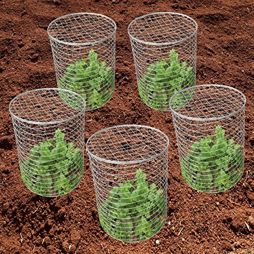 Mr. Garden Stainless Steel Wire Barrier Mesh Basket,11