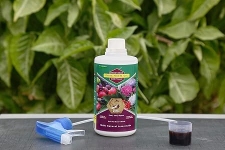 Shehri Kisaan Pure Neem Oil for Plants- 250 ml bottle | Natural Insecticide, Pesticide and Miticide for Plants | Pure Cold Pressed Organic Neem Oil | 100% Organic Pesticide Spray for Plants and Flowers | Apply with Neem based organic soil fertilizer for better results | Neem Oil 250 ml + 30ml Measuring cup