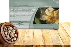 Outsidepride Yellow Moonlight Nasturtium Seeds - 200 Pcs Annual, Easy to Grow & Versatile, Flower Seeds for Planting Vibrant Yellow Blooms, Ideal for Gardens, Borders, and Pollinator Gardens