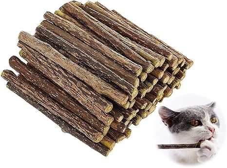 Qimmu Matatabi Baton Chat Matatabi Batons Pour Protection Soins Dentaires Herbe A Chat Gout Menthe Lutte Contre La Mauvaise Haleine Jouet Chats 30pcs Amazon Fr Animalerie