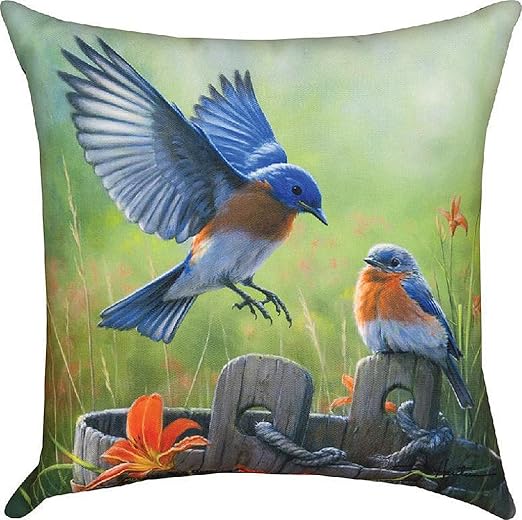 Amazon Com Bluebird Wash Bucket Decorative Pillow 18 Sq