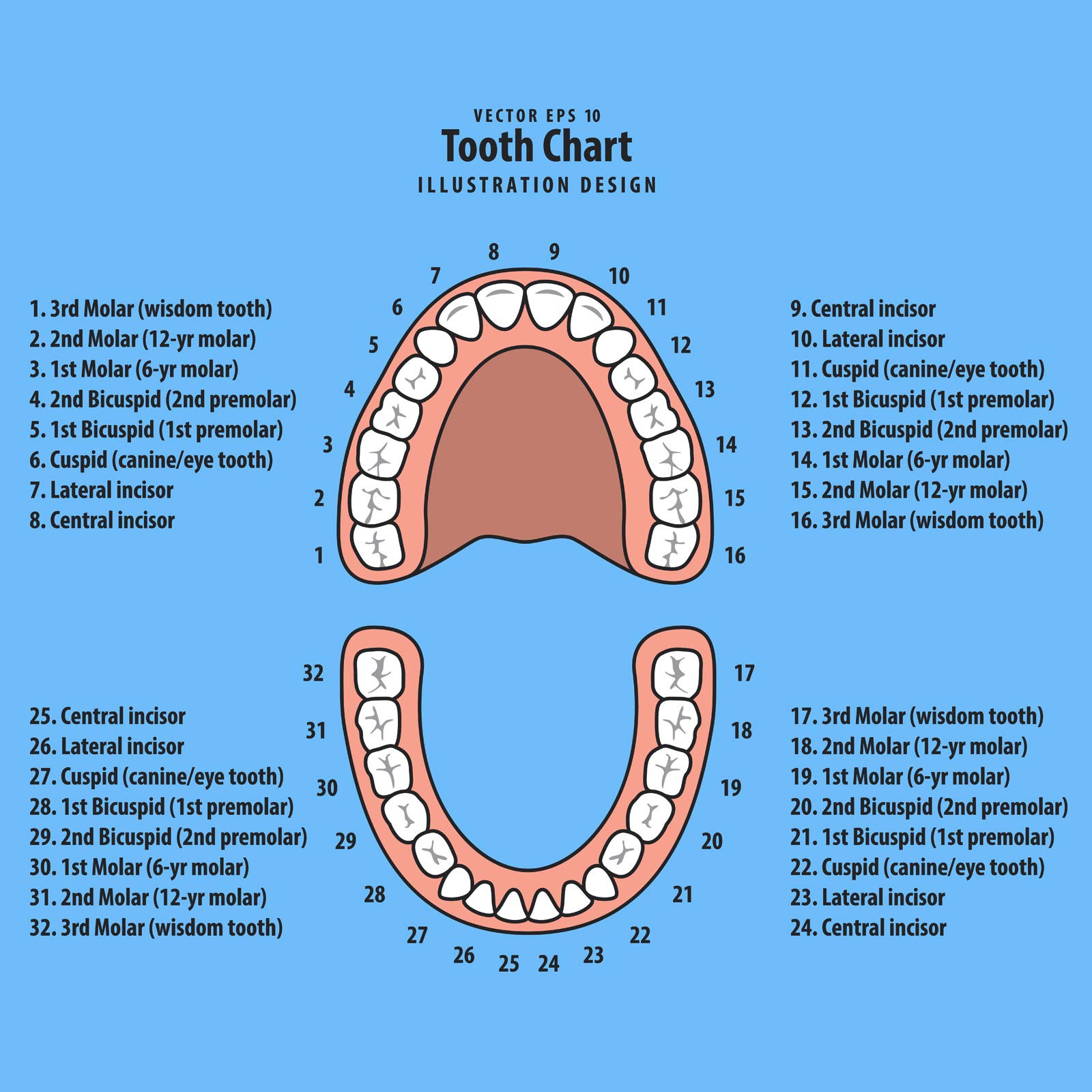 Baby Tooth Box Keepsake for Kids Teeth Storage Holder Child Teeth Organizer Tooth Fairy Box with Baby Fetal Hair Container and Tweezer for Keeping The Child Memory(Blue)
