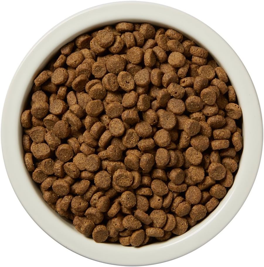  Brand - wag Dry Dog Food Salmon and Lentil Recipe (5 lb. Bag) Trial: Pet Supplies