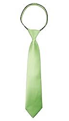 Spring Notion Boys' Satin Zipper Necktie with Gift