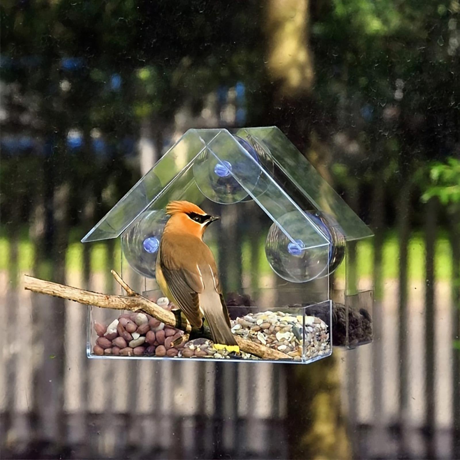 HUANR 2 Stück Vogelfutterhaus Fenster, Saugnäpfe Vogelhaus 15 x 15 x 6 cm 6