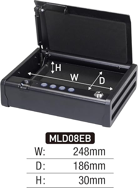 MASTER LOCK Biometrischer Tresor Fingerabdruckerkennung Kompakt MLD08EB Ideal fr Scheckbcher Geld Schmuck Ausweise Pistolentresor