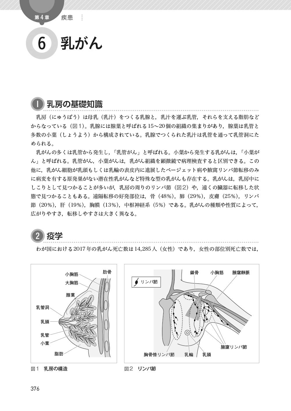 臨床腫瘍薬学 日本臨床腫瘍薬学会 本 通販 Amazon