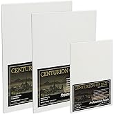 Centurion Deluxe Professional Oil Primed Linen Canvas Panels - Mixed Size Set - 24 Pack of Linen Canvases for Painting, Artwork and More