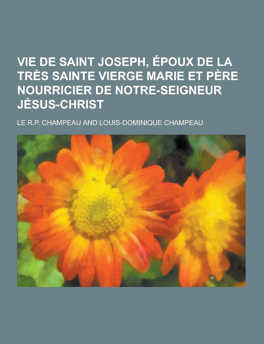 Vie De Saint Joseph Epoux De La Tres Sainte Vierge Marie Et Pere Nourricier De Notre Seigneur Jesus Christ French Edition Champeau Le R P Amazon Com Books