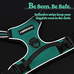 rabbitgoo Dog Harness No Pull with 2 Leash
