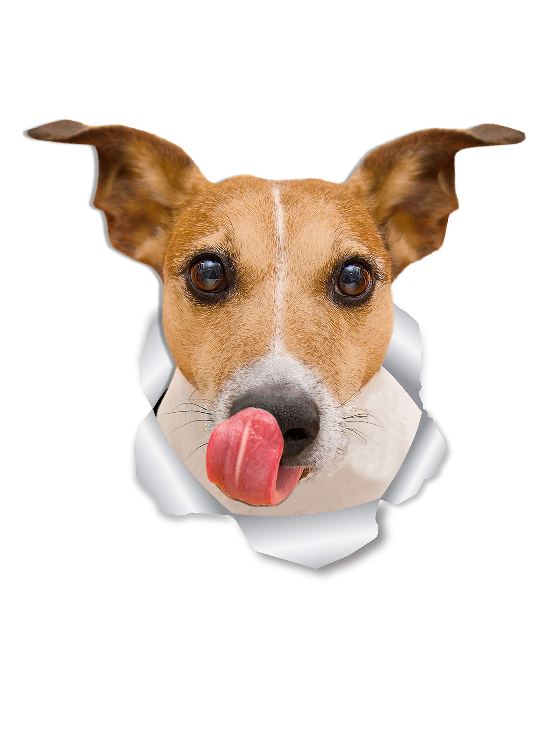 Winston & Bear Thirsty Jack RussellDog Wall Decals - 2 Pack - Jack Dog Toilet Sticker – 3D Dog Car Window and Bumper Sticker - Retail Packaged Jack Russell Lover Gifts