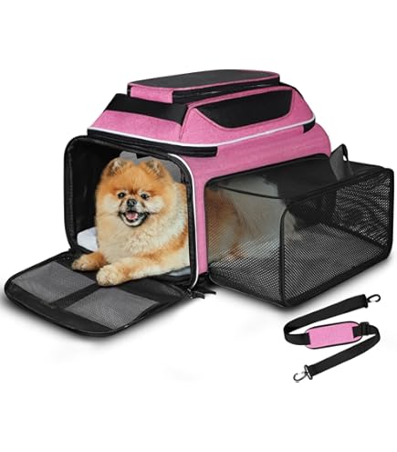 Dog Kennel United Airlines Kennel Requirements Tsa Approved Pet