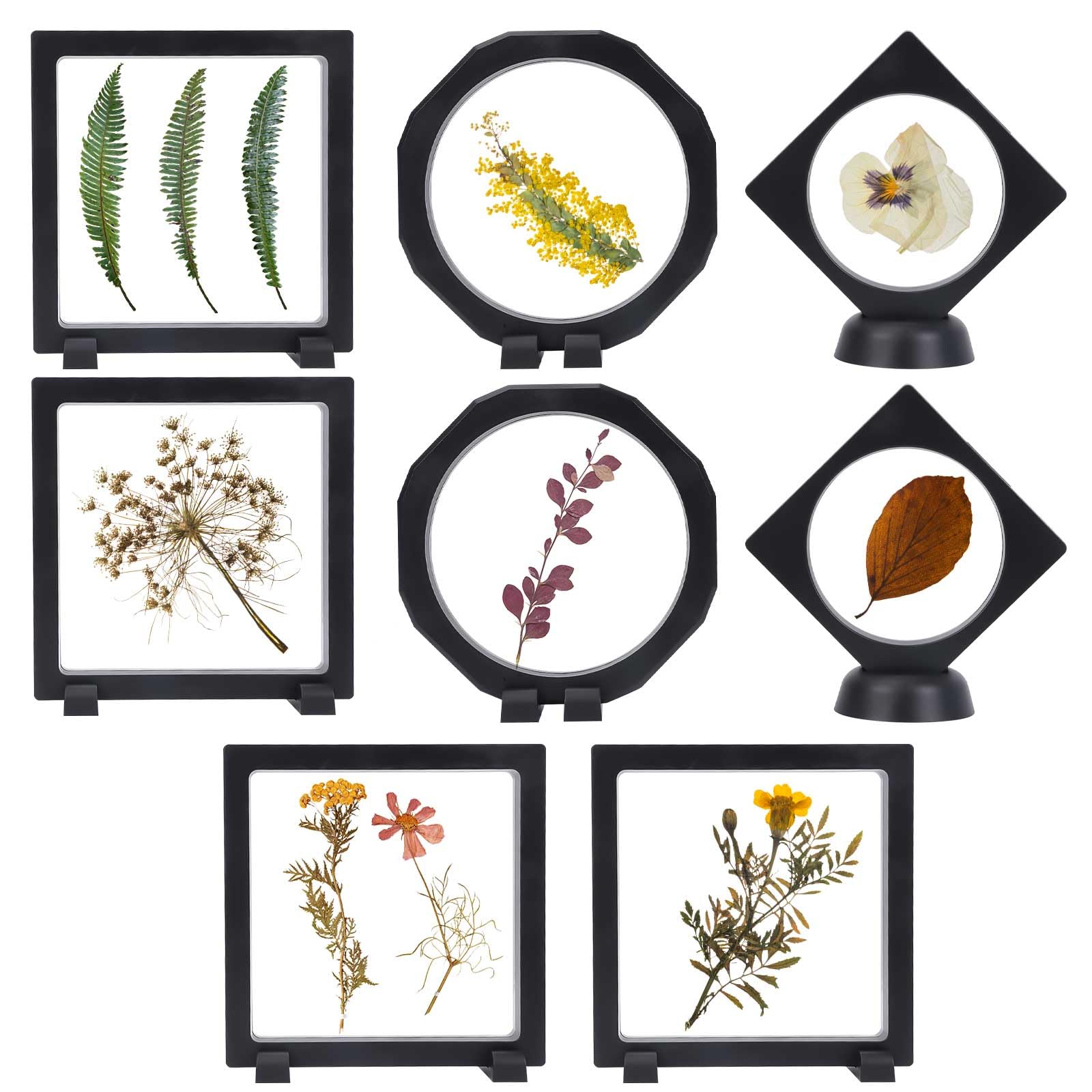 8Pcs 3D Floating Photo Frame, Frame Display Stand Box with Base, Film Transparent Display Case, Suspension Display Case for Collectibles Memorabilia Jewelry, Black