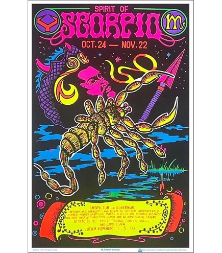 Amazon.com: Scorpio Posters Gemini Zodiac Sign - Flocked