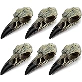 HTZNHXT 6Pcs Halloween Raven Skull Decor, Gothic Fake Crow Skull for Necklace, Resin Bird Skulls Pendant for Halloween Costumes, Wall Decorations