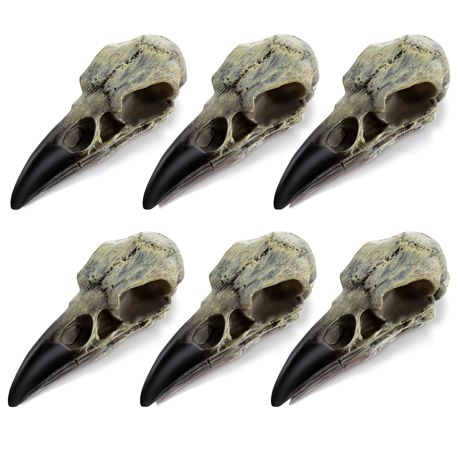 Photo 1 of **PARTIAL SET/ONLY 3 ** HTZNHXT 6Pcs Halloween Raven Skull Decor, Gothic Fake Crow Skull for Necklace, Resin Bird Skull Pendant for Halloween Costumes, Wall Decorations