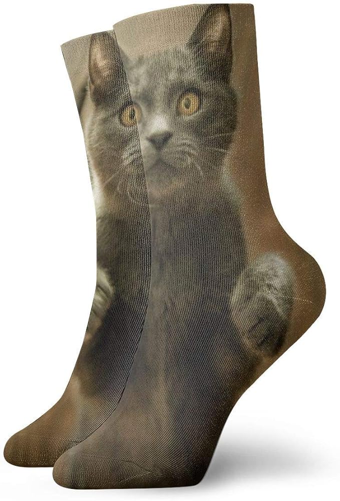 Dezzert030 Chat Choque Gris Chaussettes Courtes Adultes Chaussettes Confortables En Coton Pour Hommes Femmes Yoga Randonnee Pedestre Velo Running Football Sports Amazon Fr Vetements Et Accessoires