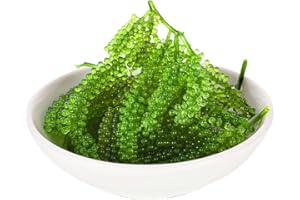 NOBLE CREATEAPROTOTYPE Seaweed Salad (Sea Grapes) Premium Salted Sea Grapes, Dehydrated Japanese Umibudo Seaweed, Lato Seaweed Snacks from Ocean, for Salads Sushi with Dipping Sauces Mustard Soy Sauce (7.05 oz of 2 Packs)