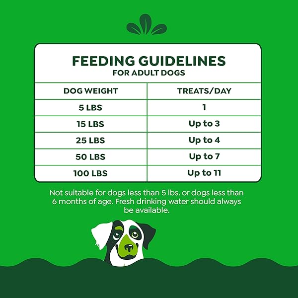 GREENIES ANYTIME BITES DOG TREATS, ORIGINAL FLAVOR, DOG TRAINING TREATS, 10.3 OZ. BAG