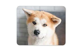 Shiba Inu Akita Perro Tapete De Ratones Cojín Amazones
