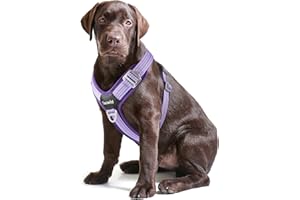 Tacwild No Pull Dog Harness - Adjustable Reflective Dog Vest with Metal Snap, Soft Breathable Mesh No Choke Puppy Harness, Easy to Put on & Take Off (Purple-L)