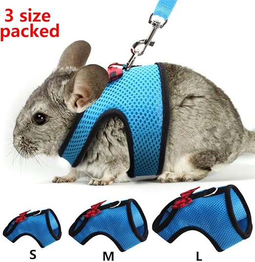 long distance dog training collar