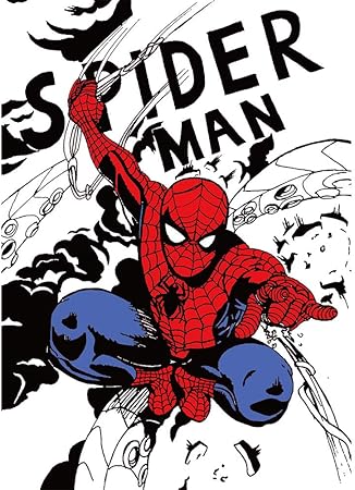 Amazon 写真撮影用誕生日背景 5x7 スパイダーマン背景 ホワイト写真背景 ビニールコミックスーパーヒーロー ベビーシャワー背景 小さな男の子用 カスタム名前 バックペーパー 背景布 通販