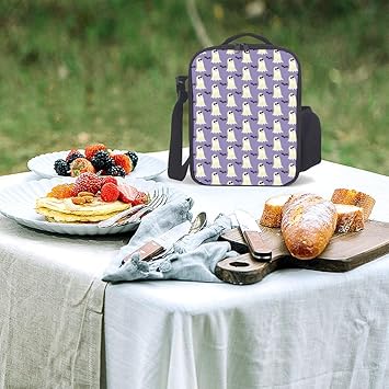 SEDEXD Bolsa de Picnic Bolsa de Almuerzo Refrigerador Aislado ...