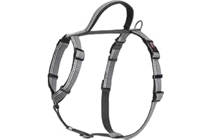 COMPANY OF ANIMALS HALTI Walking Harness - Lightweight Dog Harness with Handle, Reflective & Adjustable, Ideal for Puppy Walks, Suitable for Medium Dogs and Puppies (Size M, Black)