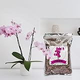 GOTVUGE All Purpose Orchid Soil 1L Bark Perlite Mix for Epiphytic Orchids view 5