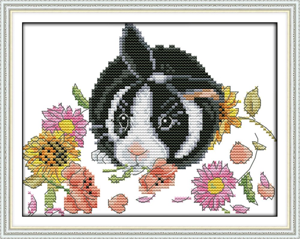 CaptainCrafts Cross Stitch Kits, Stamped Cross Stitch Preprinted Fabric Cross Stitch DMC DIY Art Embroidery Kits (Preprinted 11CT, The Little Rabbit in Flowers)
