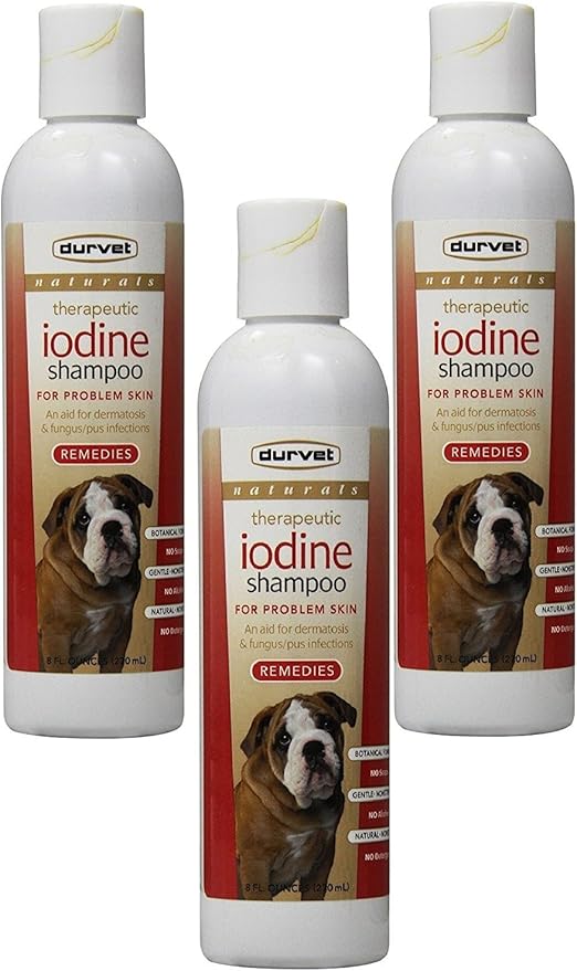 home breeders near me