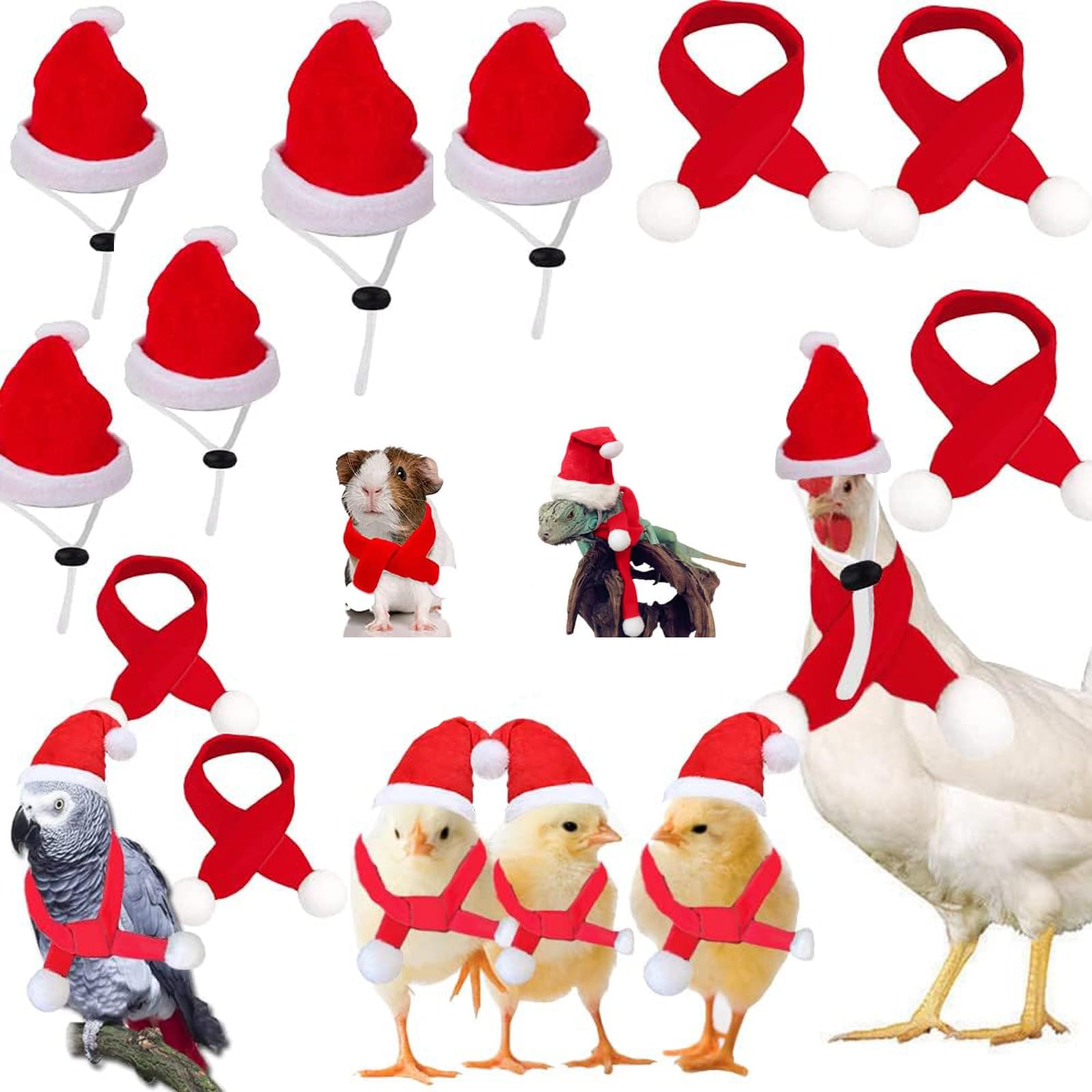 10 Pcs Christmas Mini Santa Hats Scarf Set Christmas Pet Chicken Hat Scarf Xmas Animal Hat with Adjustable Chin Strap for Poultry Hen Rooster Hamster Duck Lizard Parrot Hedgehog