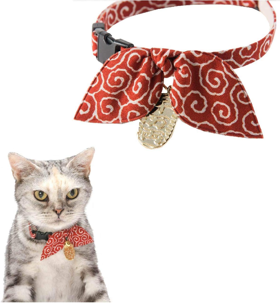 airline approved dog kennel