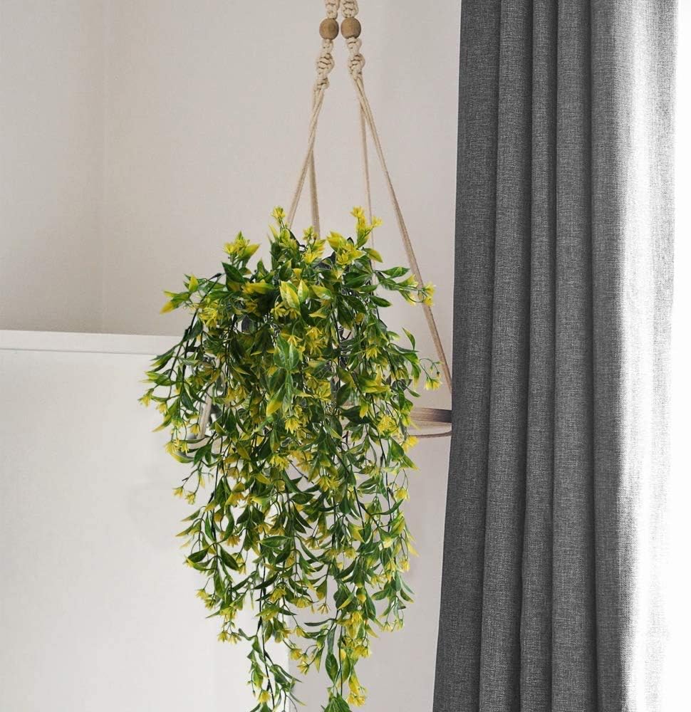 panepisthmio makedonias