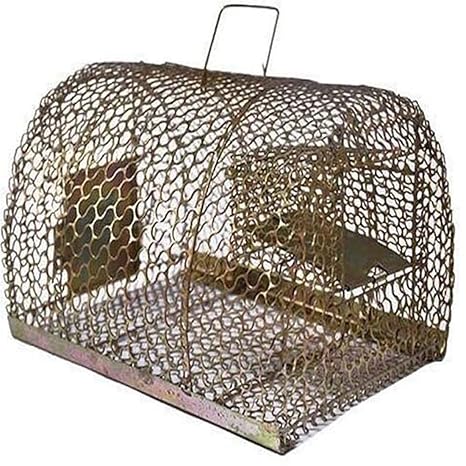 K E Product Iron Trap Cage For Catching Rat Big Size Amazon In