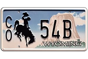 Longmire | CO 54B | Metal Stamped License Plate